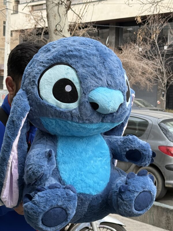 استیچ حوله ای (پرزدار) - Image 2