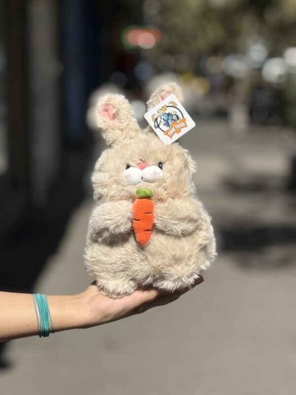 خرگوش هویج بدست پشمالو🐇