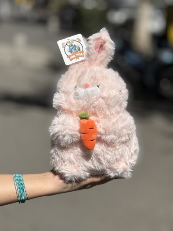 خرگوش هویج بدست پشمالو🐇 - Image 2