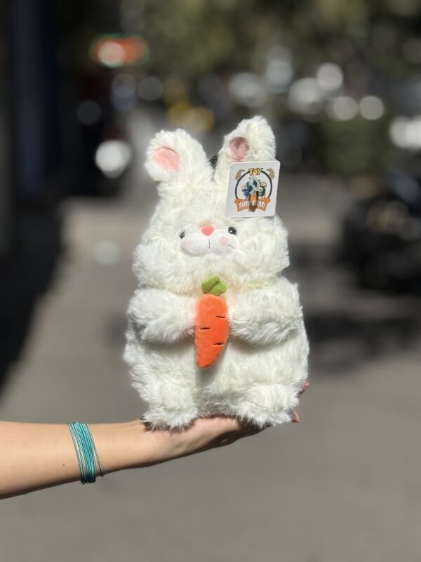 خرگوش هویج بدست پشمالو🐇 - Image 3
