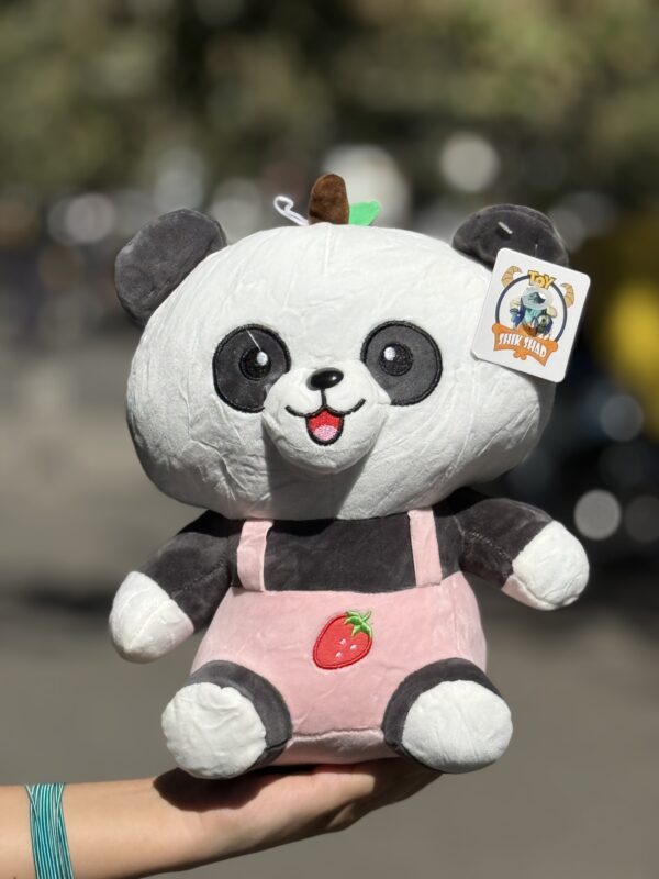 پاندای لباسدار🐼